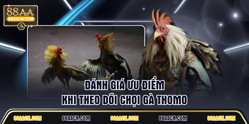 Đánh giá ưu điểm khi theo dõi chọi gà Thomo